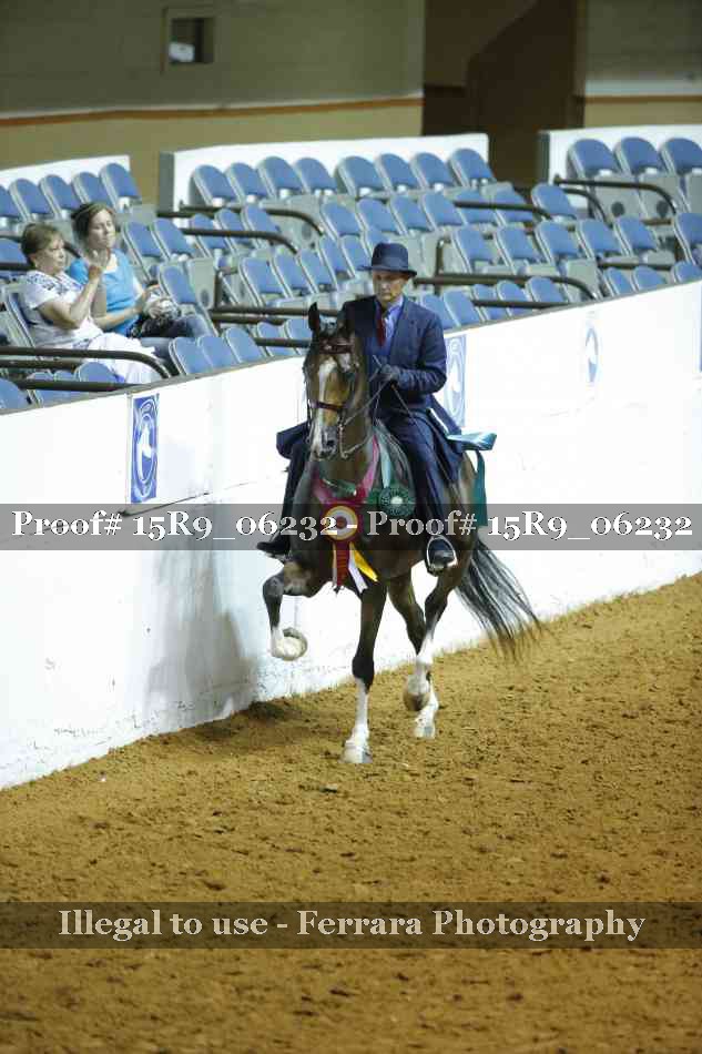 Proof Number 15R9_06232