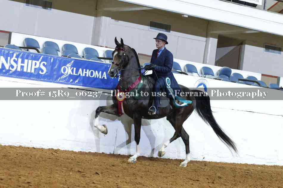 Proof Number 15R9_06237