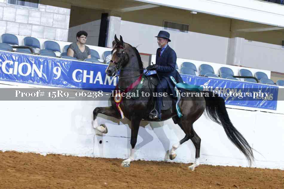Proof Number 15R9_06238