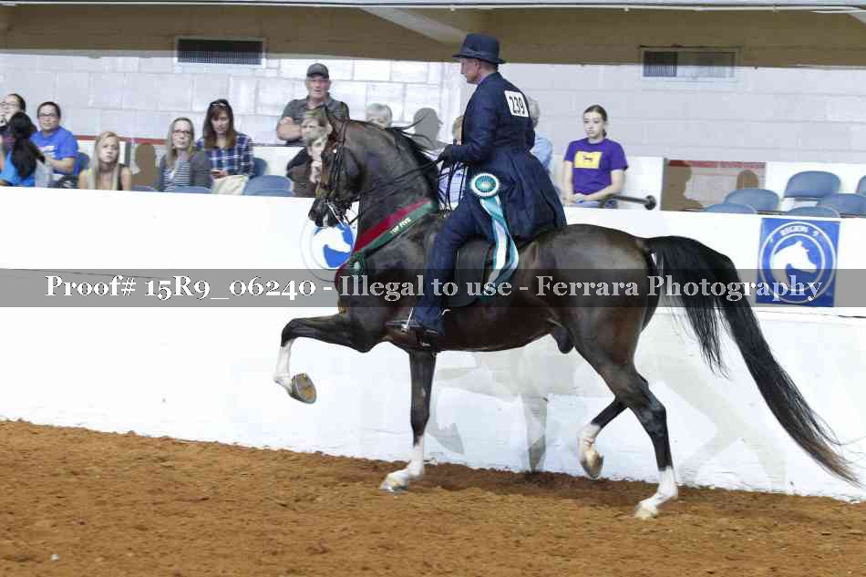 Proof Number 15R9_06240