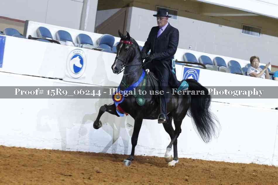 Proof Number 15R9_06244