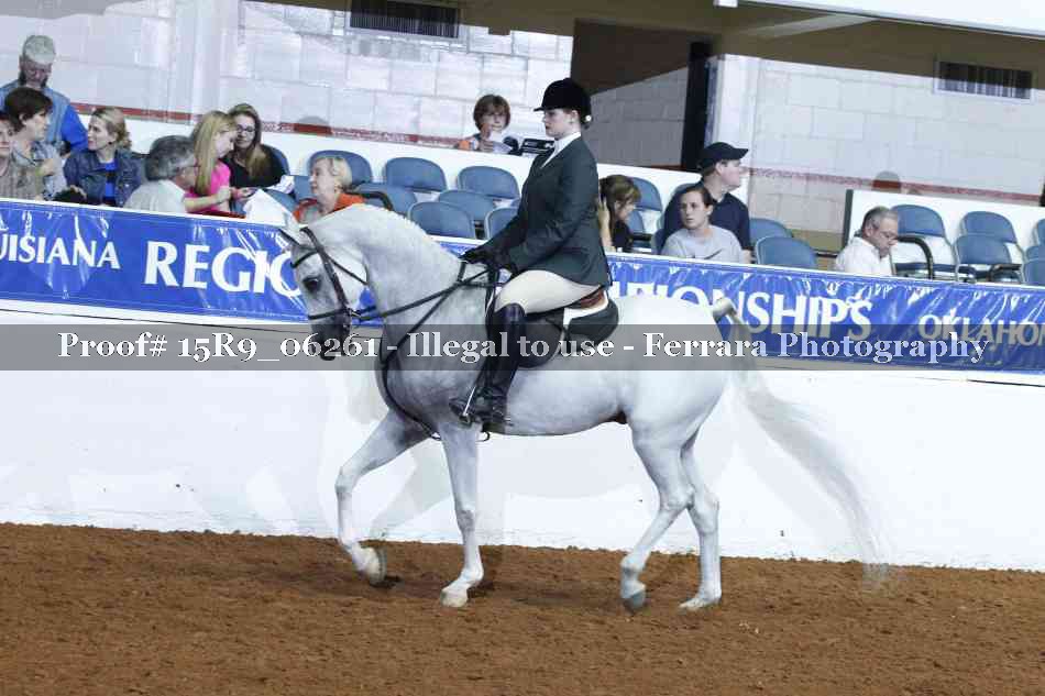 Proof Number 15R9_06261