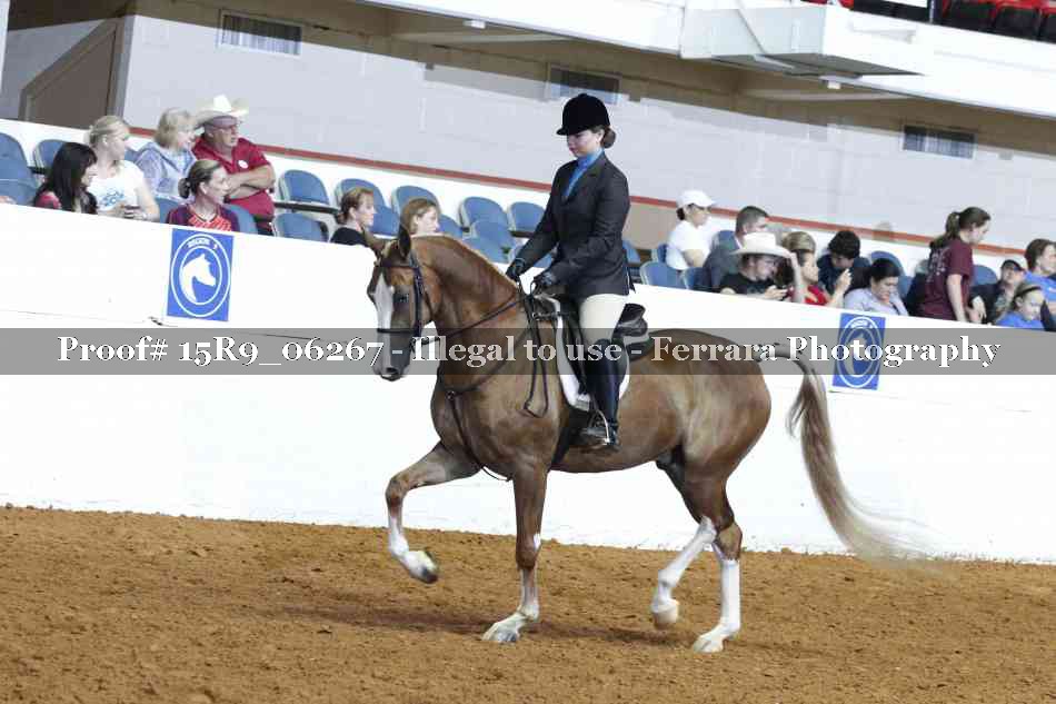 Proof Number 15R9_06267