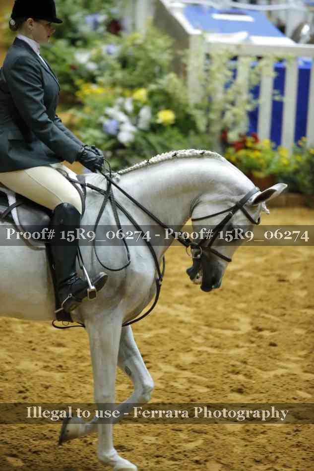 Proof Number 15R9_06274