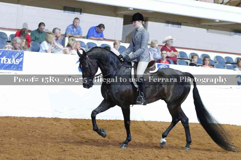 Proof Number 15R9_06275