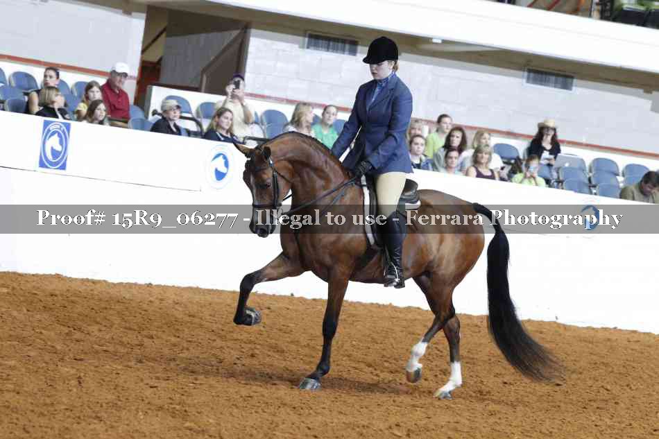Proof Number 15R9_06277
