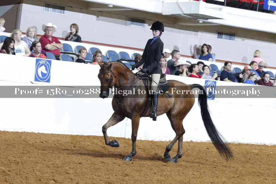 Proof Number 15R9_06288