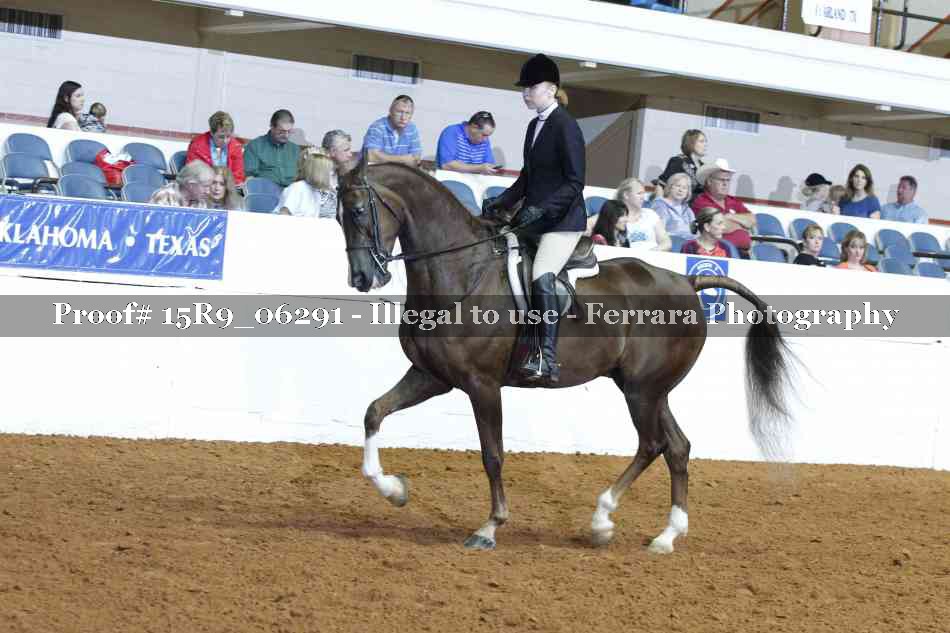 Proof Number 15R9_06291