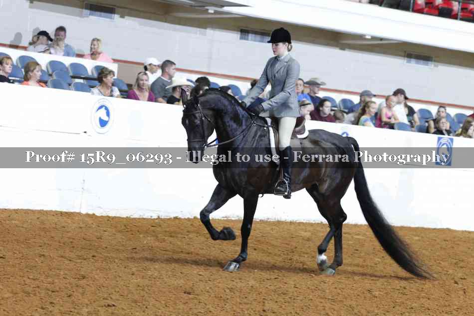 Proof Number 15R9_06293