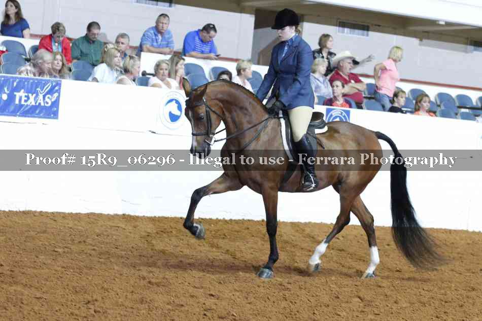 Proof Number 15R9_06296