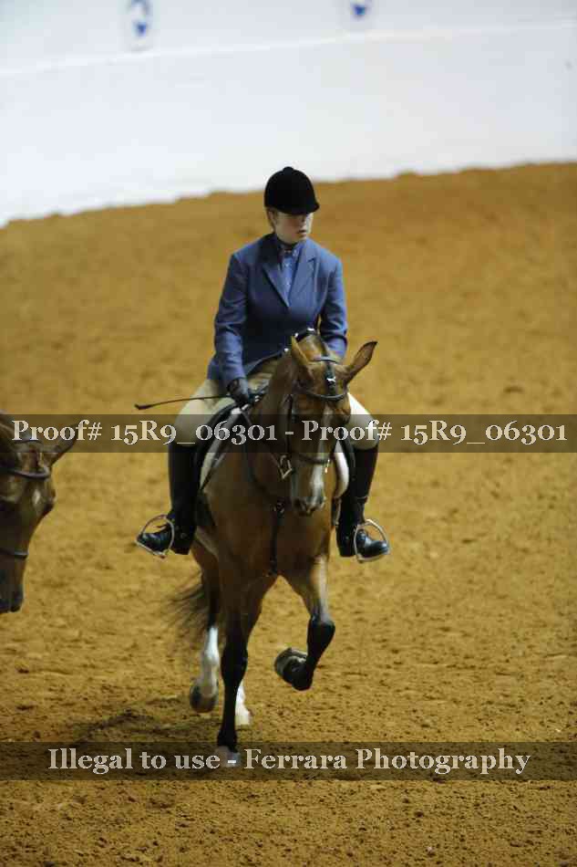 Proof Number 15R9_06301