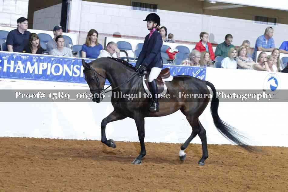 Proof Number 15R9_06306
