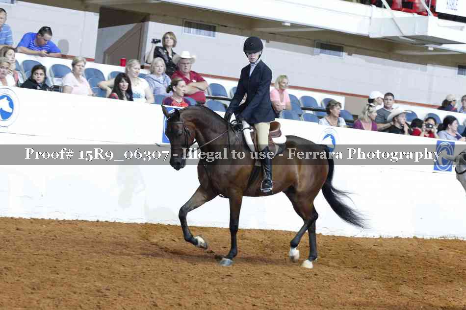 Proof Number 15R9_06307