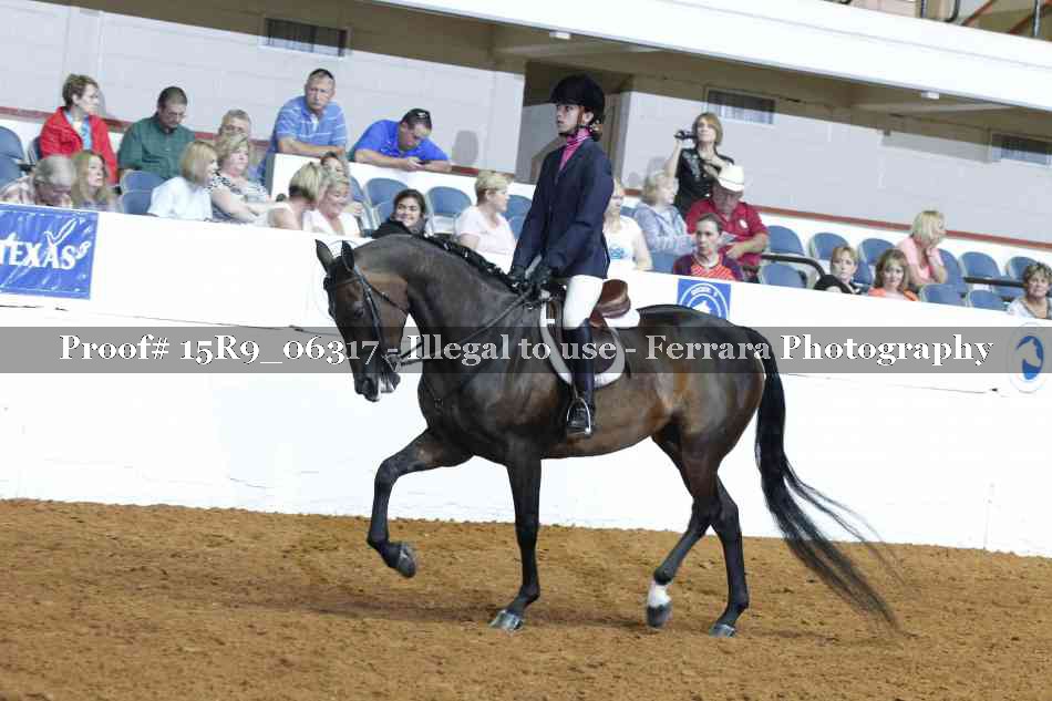 Proof Number 15R9_06317