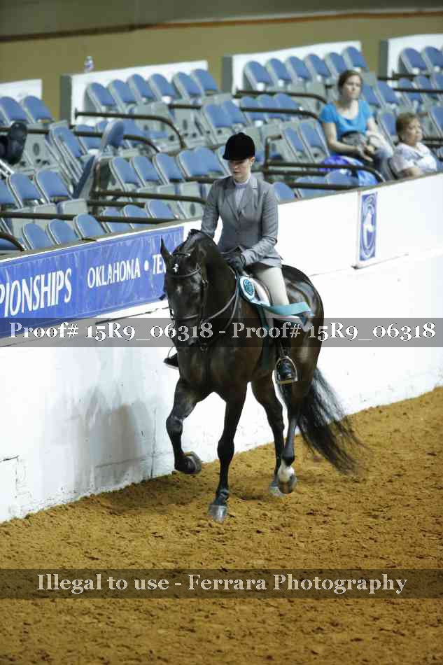 Proof Number 15R9_06318