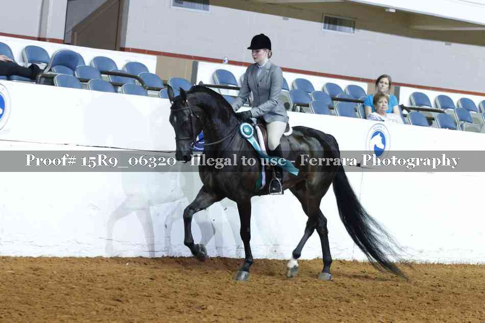 Proof Number 15R9_06320