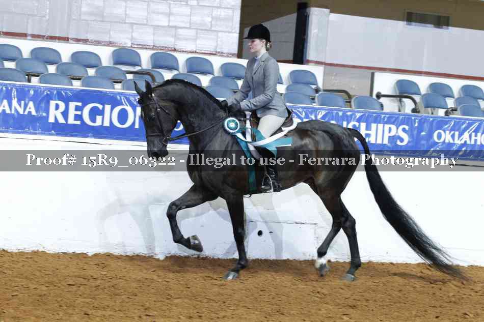 Proof Number 15R9_06322