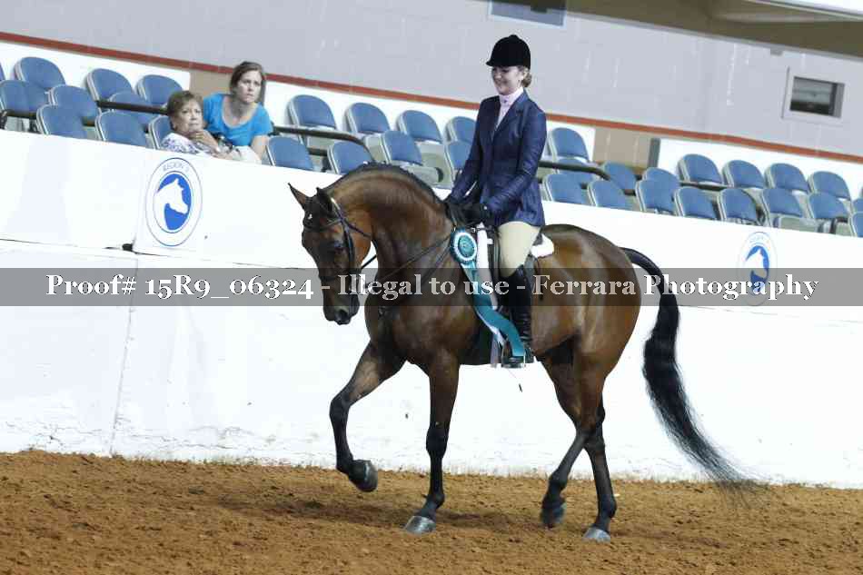 Proof Number 15R9_06324