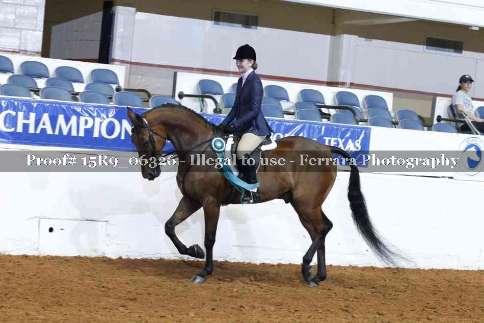 Proof Number 15R9_06326