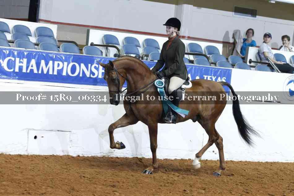 Proof Number 15R9_06334