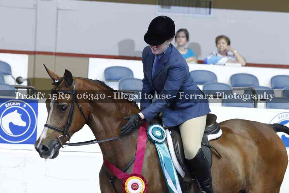 Proof Number 15R9_06340