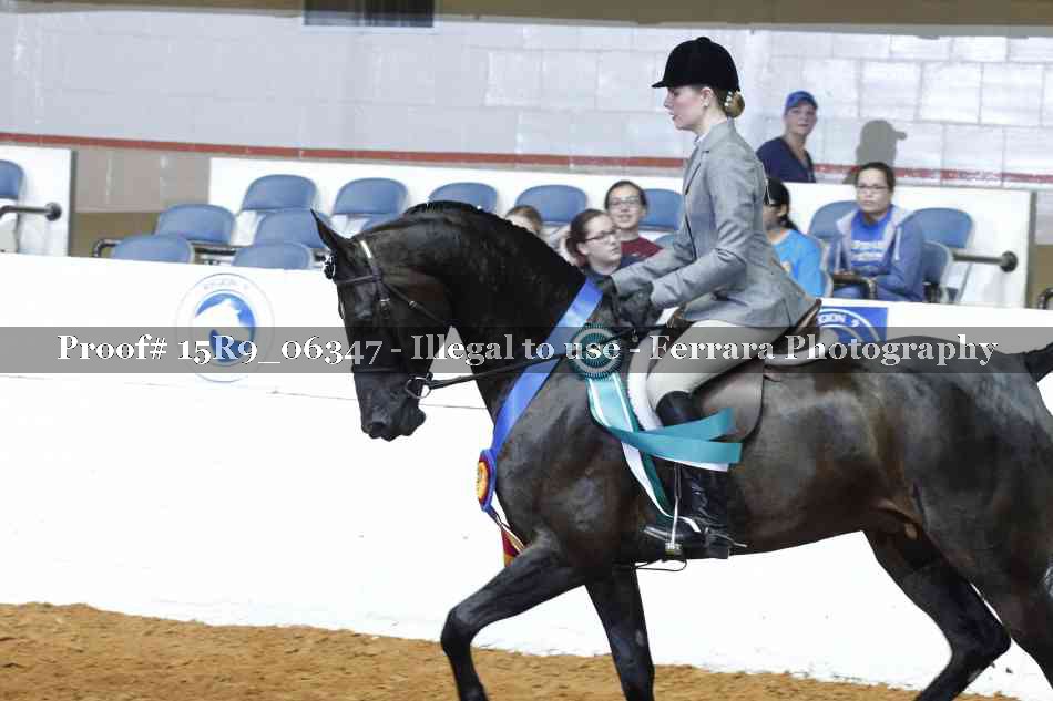 Proof Number 15R9_06347