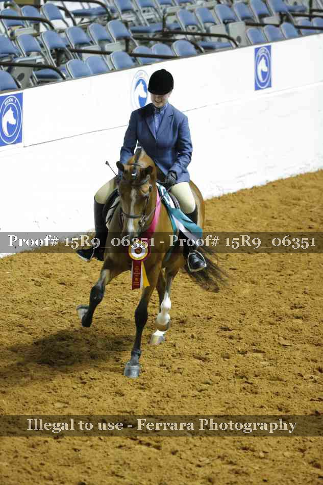Proof Number 15R9_06351