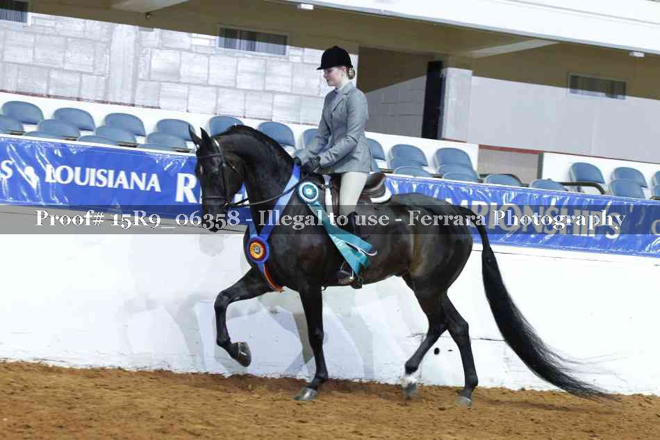 Proof Number 15R9_06358