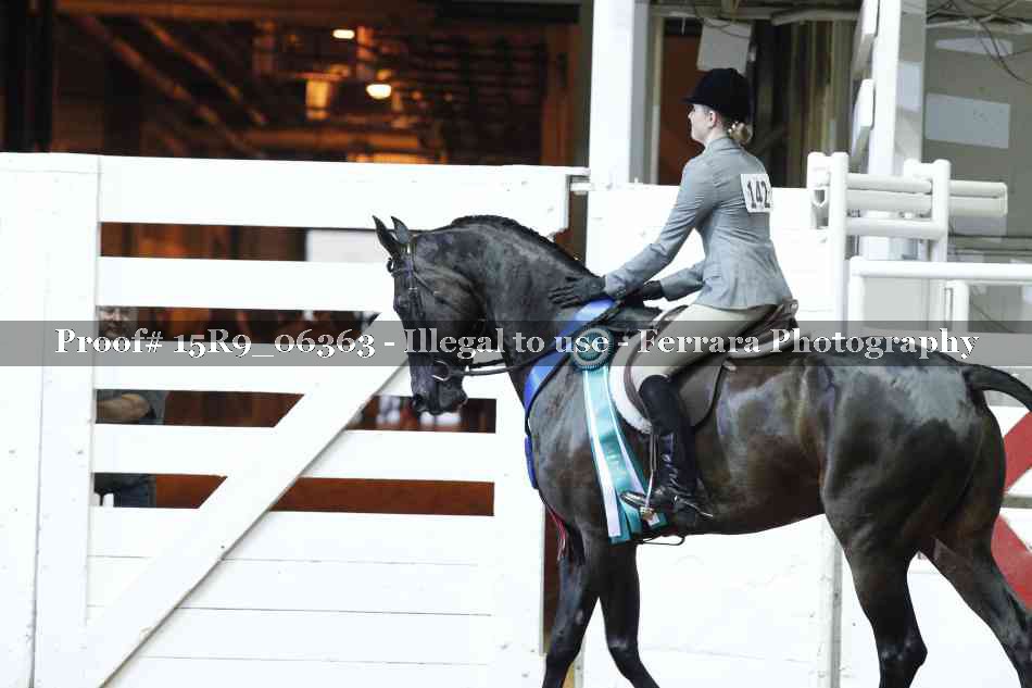 Proof Number 15R9_06363