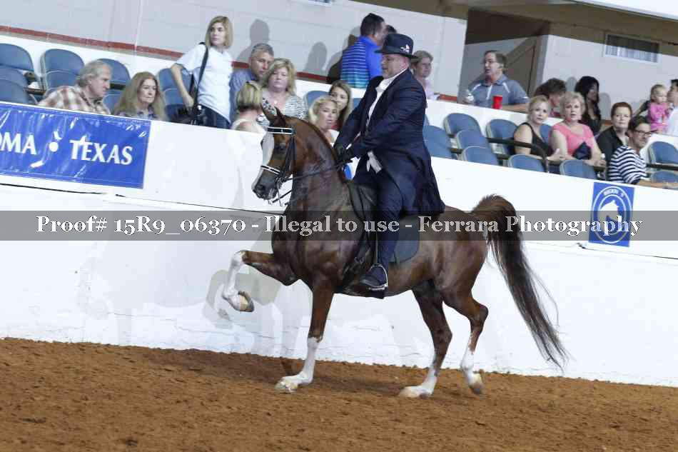 Proof Number 15R9_06370