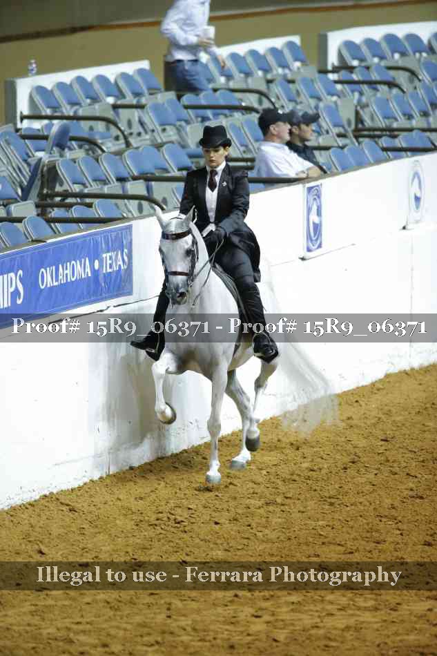 Proof Number 15R9_06371