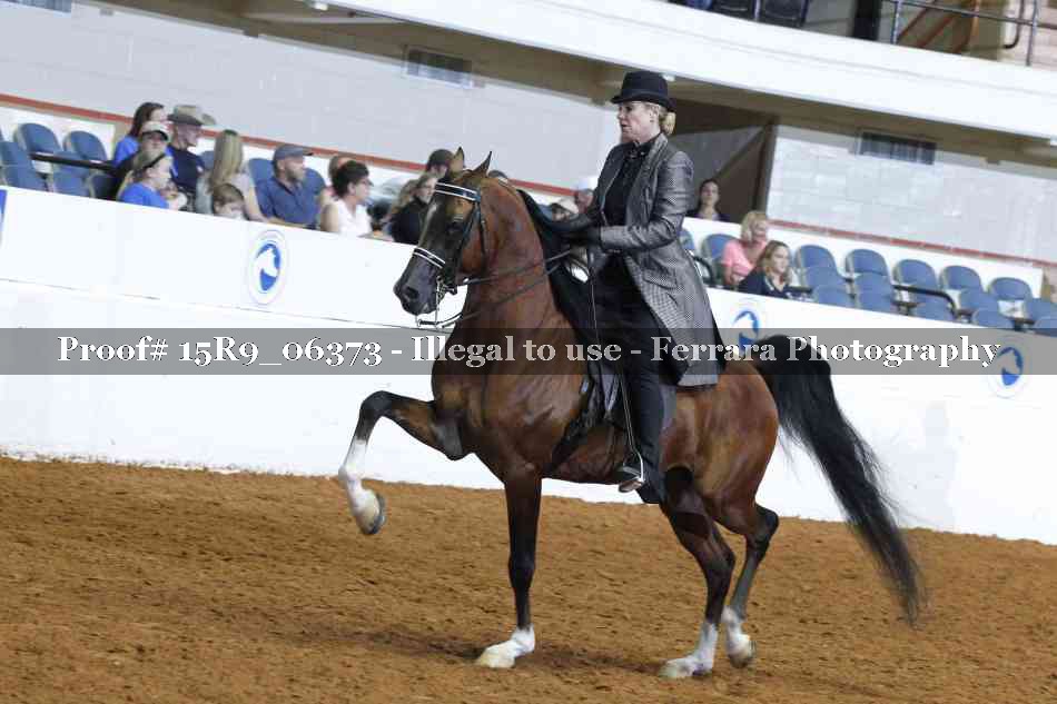 Proof Number 15R9_06373