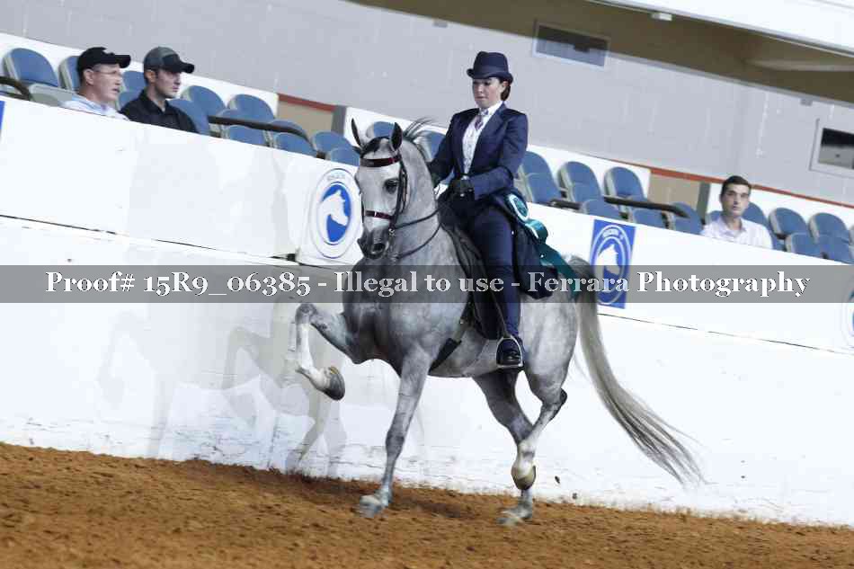 Proof Number 15R9_06385