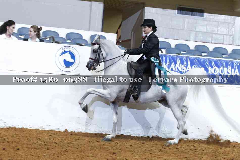 Proof Number 15R9_06388