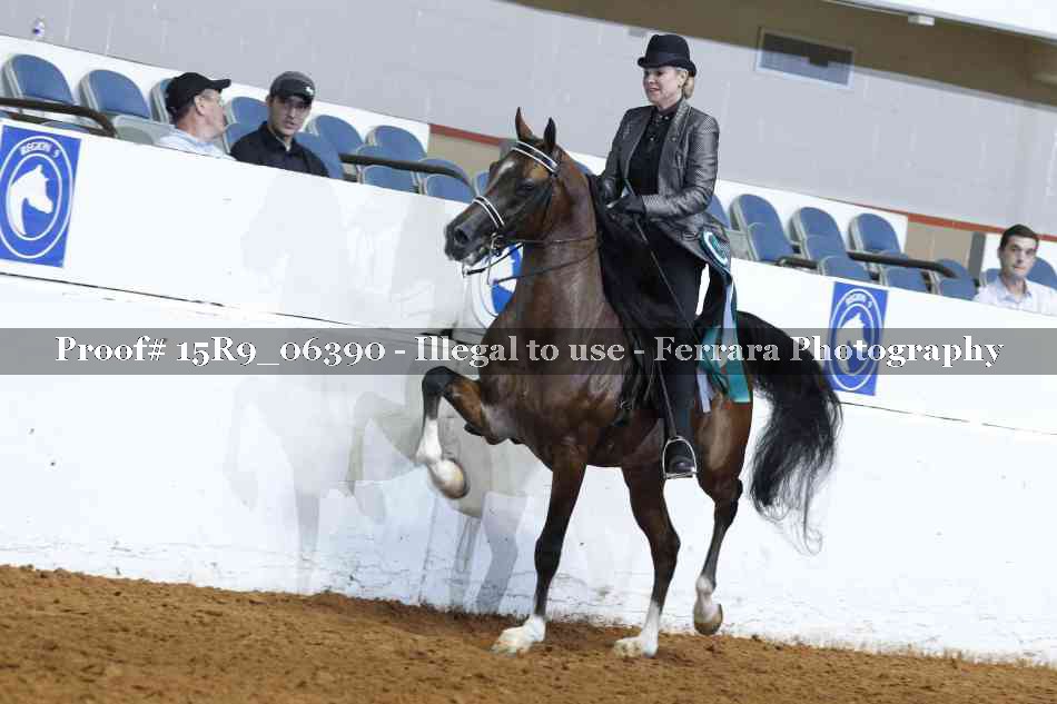 Proof Number 15R9_06390