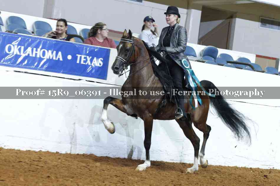 Proof Number 15R9_06391