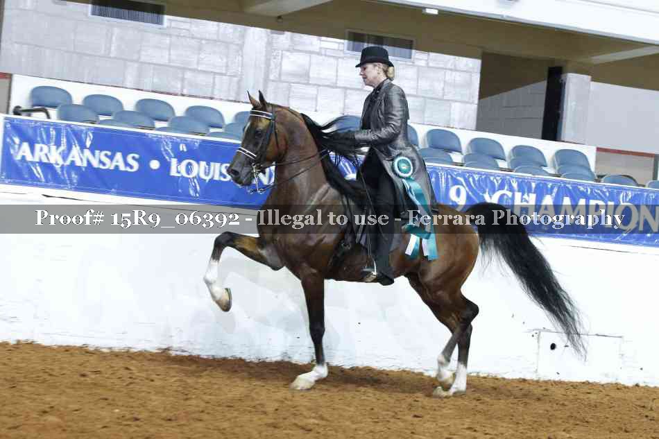 Proof Number 15R9_06392