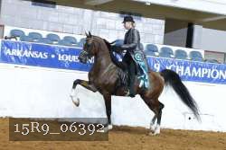15R9_06392 thumbnail