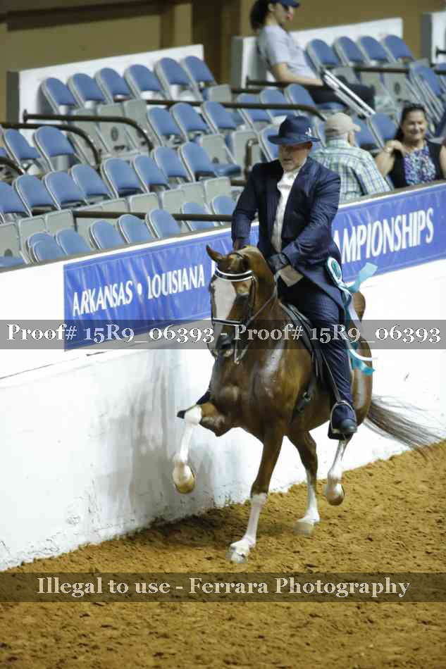 Proof Number 15R9_06393