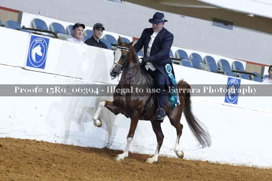 Proof Number 15R9_06394