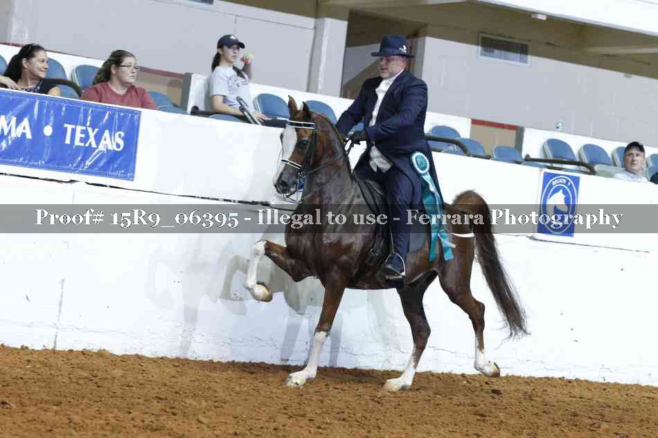 Proof Number 15R9_06395