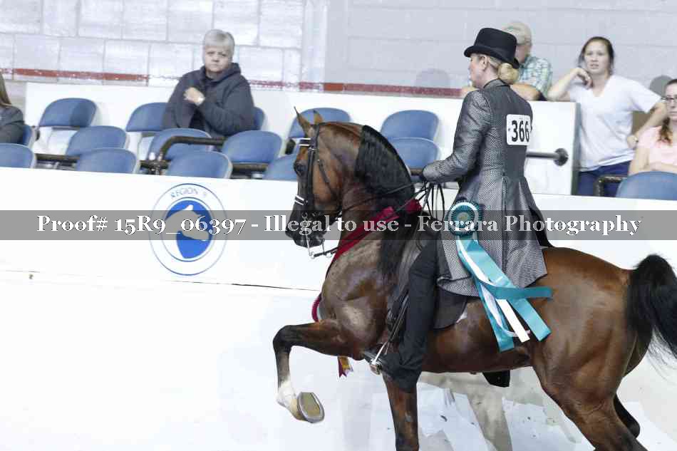 Proof Number 15R9_06397