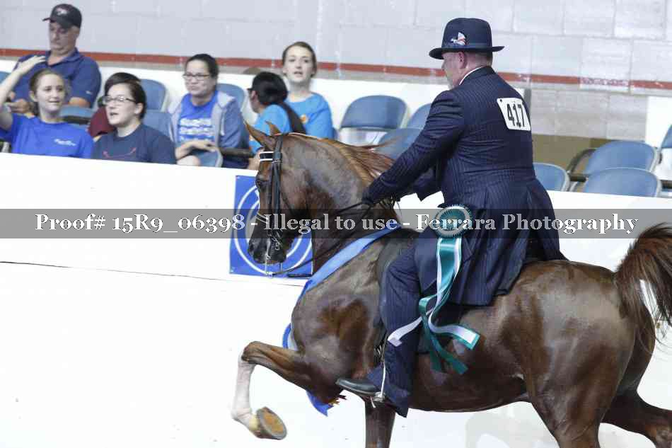 Proof Number 15R9_06398