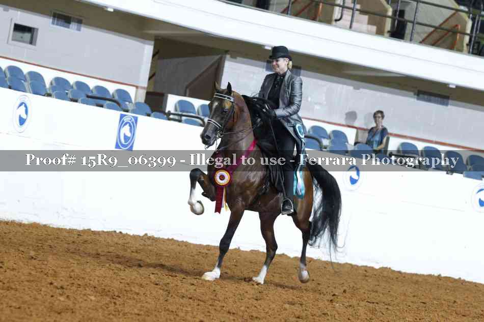 Proof Number 15R9_06399