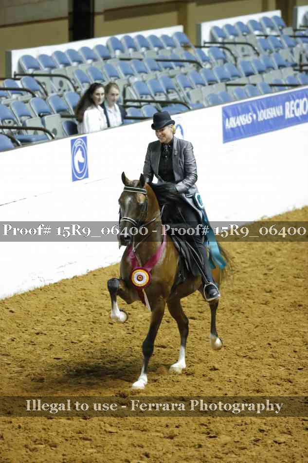 Proof Number 15R9_06400