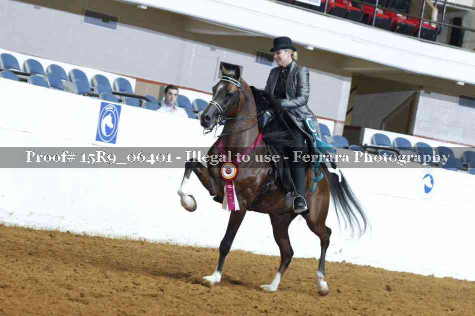 Proof Number 15R9_06401