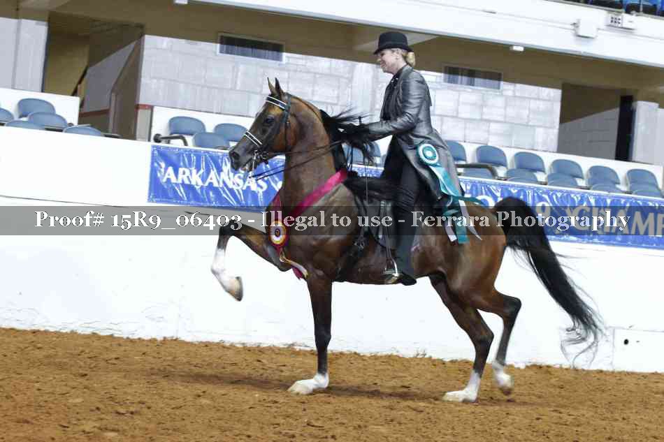 Proof Number 15R9_06403
