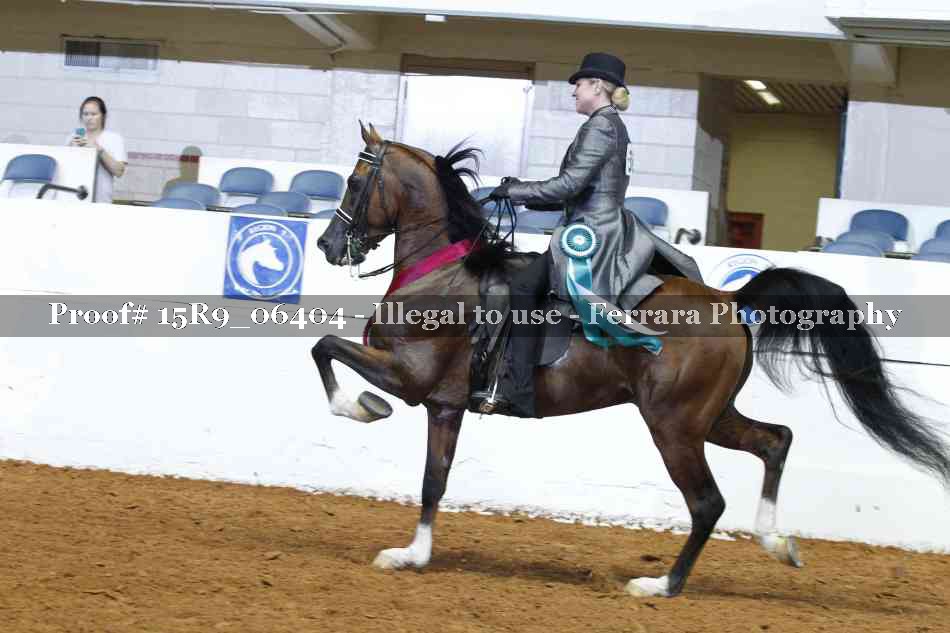 Proof Number 15R9_06404