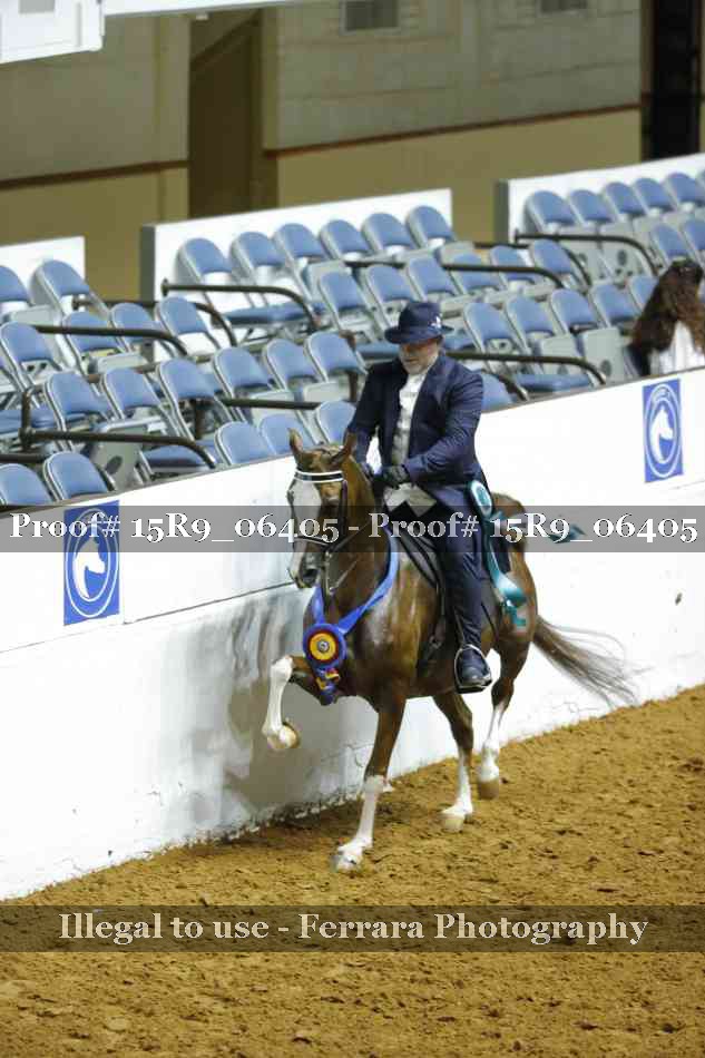 Proof Number 15R9_06405