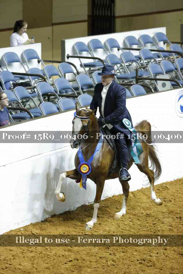 Proof Number 15R9_06406